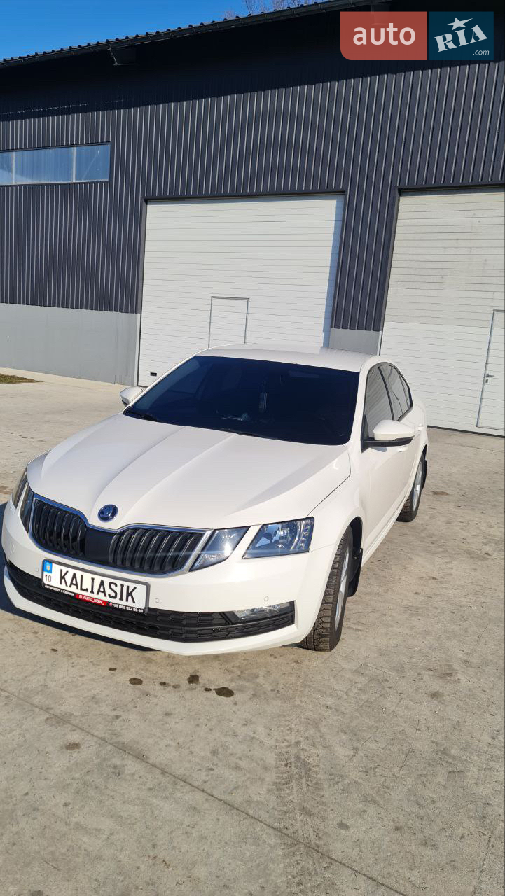 2019 Skoda Octavia - мініатюра 10