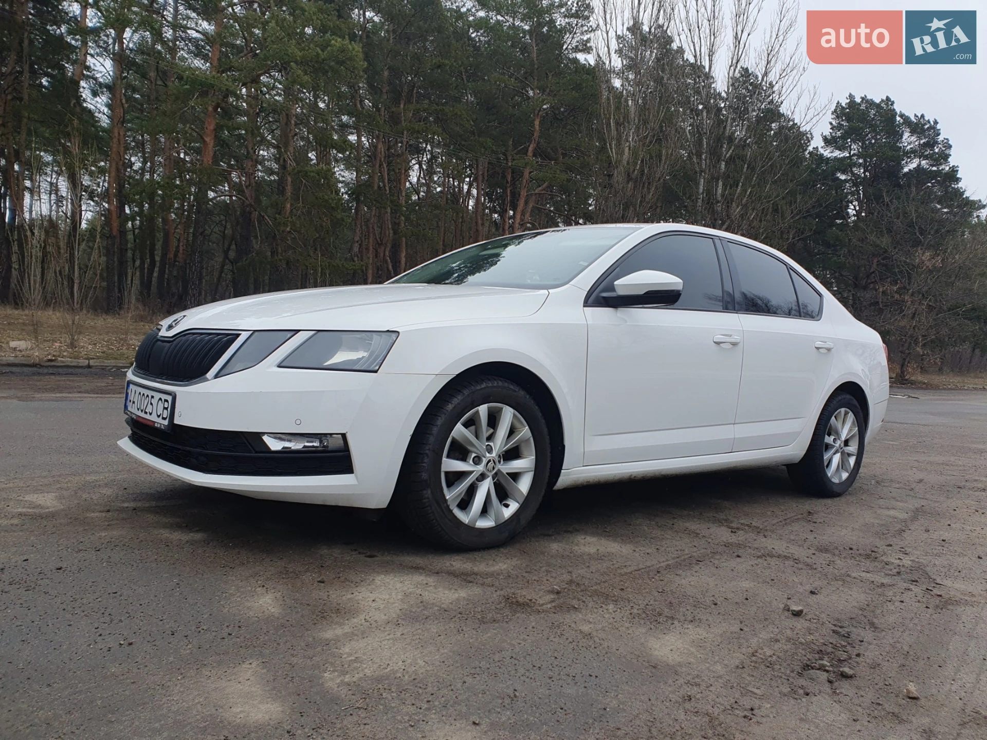 2017 Skoda Octavia - мініатюра 6