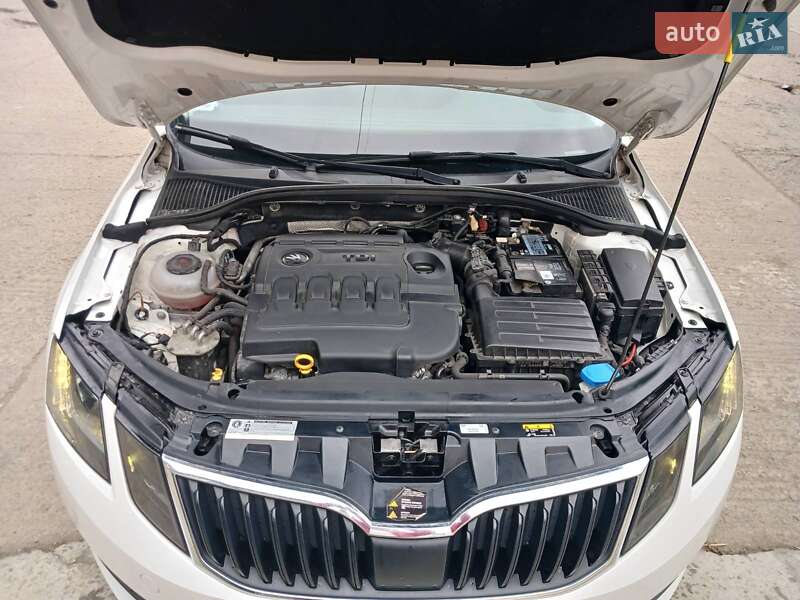 Ліфтбек Skoda Octavia 2019 в Ужгороді