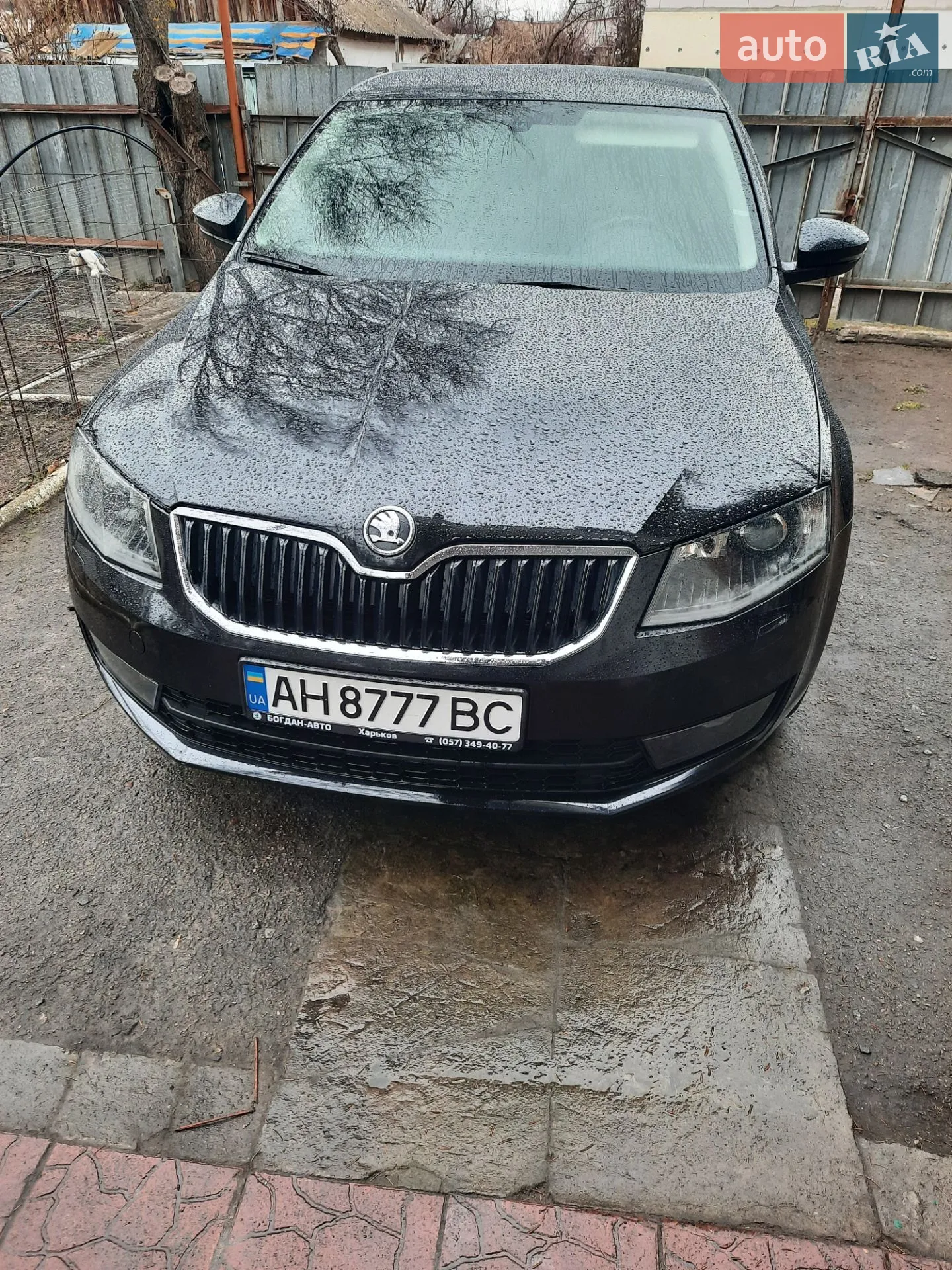 2014 Skoda Octavia - мініатюра 3