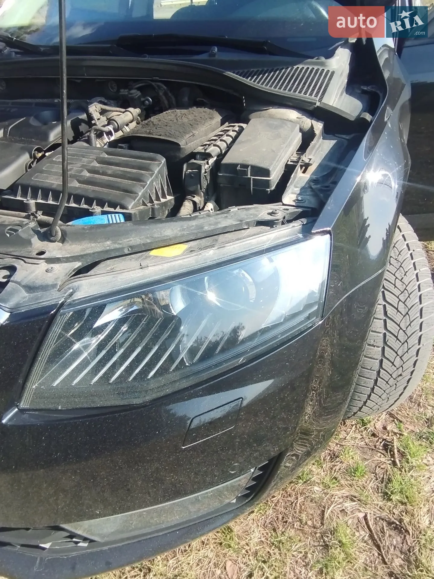 2016 Skoda Octavia - мініатюра 24
