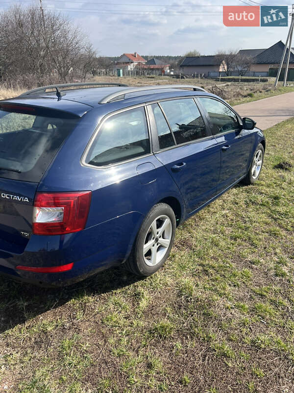 Універсал Skoda Octavia 2013 в Вишеньках