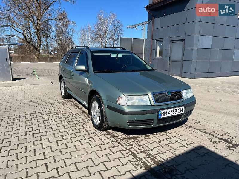 Универсал Skoda Octavia 2003 в Шостке