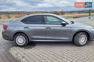Ліфтбек Skoda Octavia 2023 в 