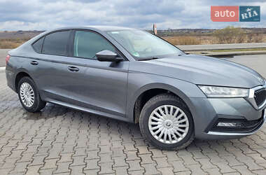 Ліфтбек Skoda Octavia 2023 в 
