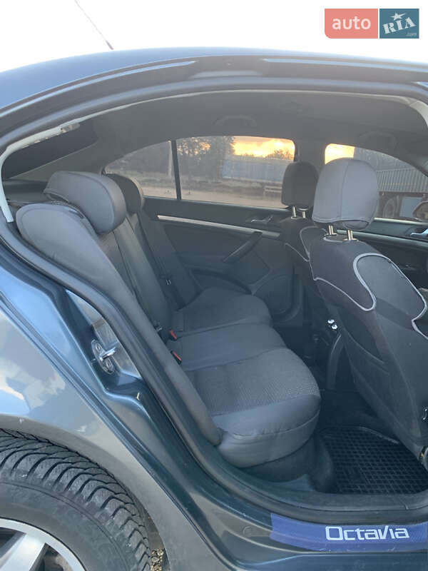 Ліфтбек Skoda Octavia 2006 в Новій Одесі