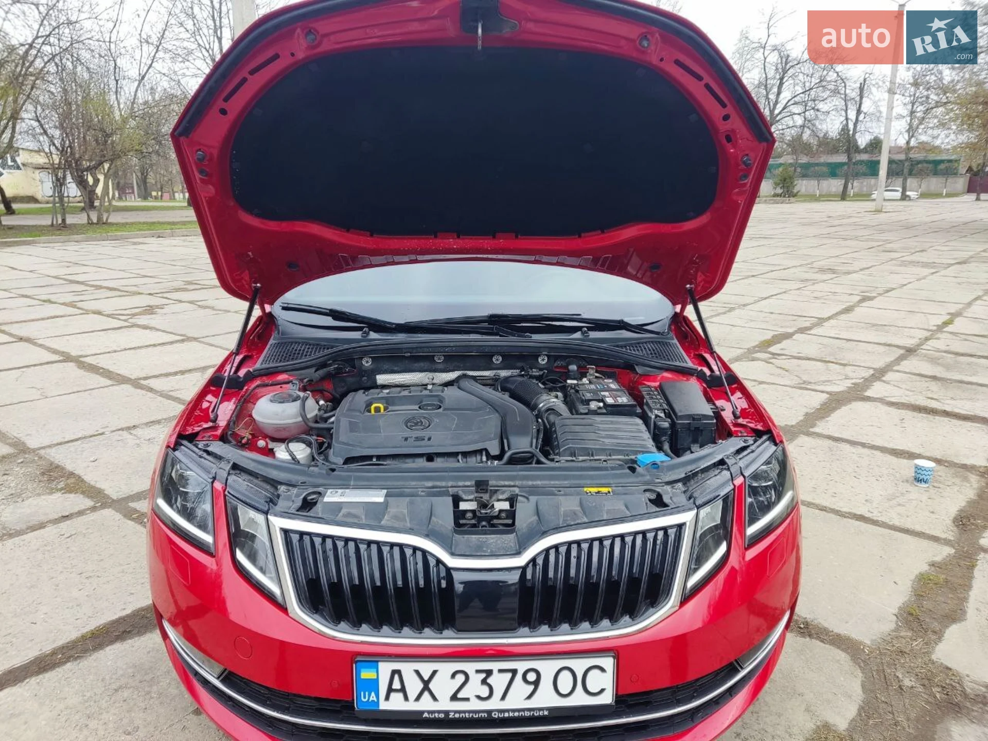 2019 Skoda Octavia - мініатюра 13