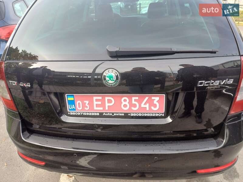 Универсал Skoda Octavia 2009 в Ковеле