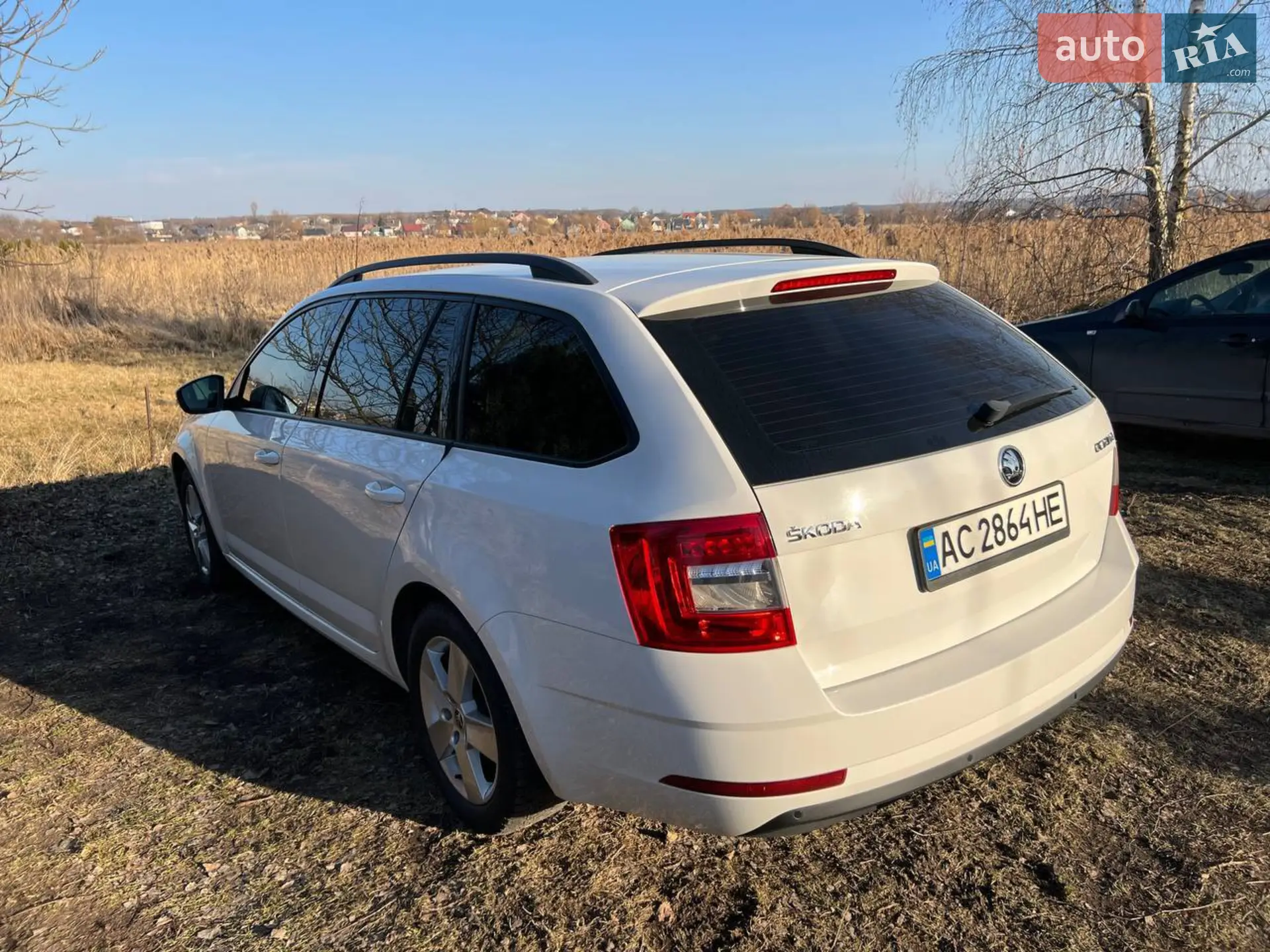 2018 Skoda Octavia - мініатюра 3