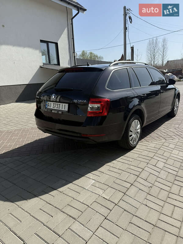 Універсал Skoda Octavia 2017 в Хмельницькому
