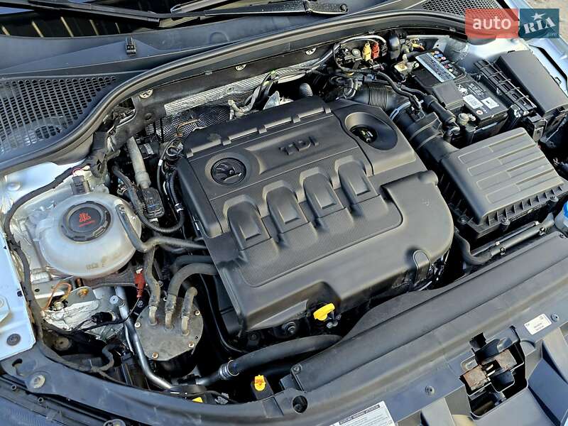 Універсал Skoda Octavia 2018 в Бердичеві