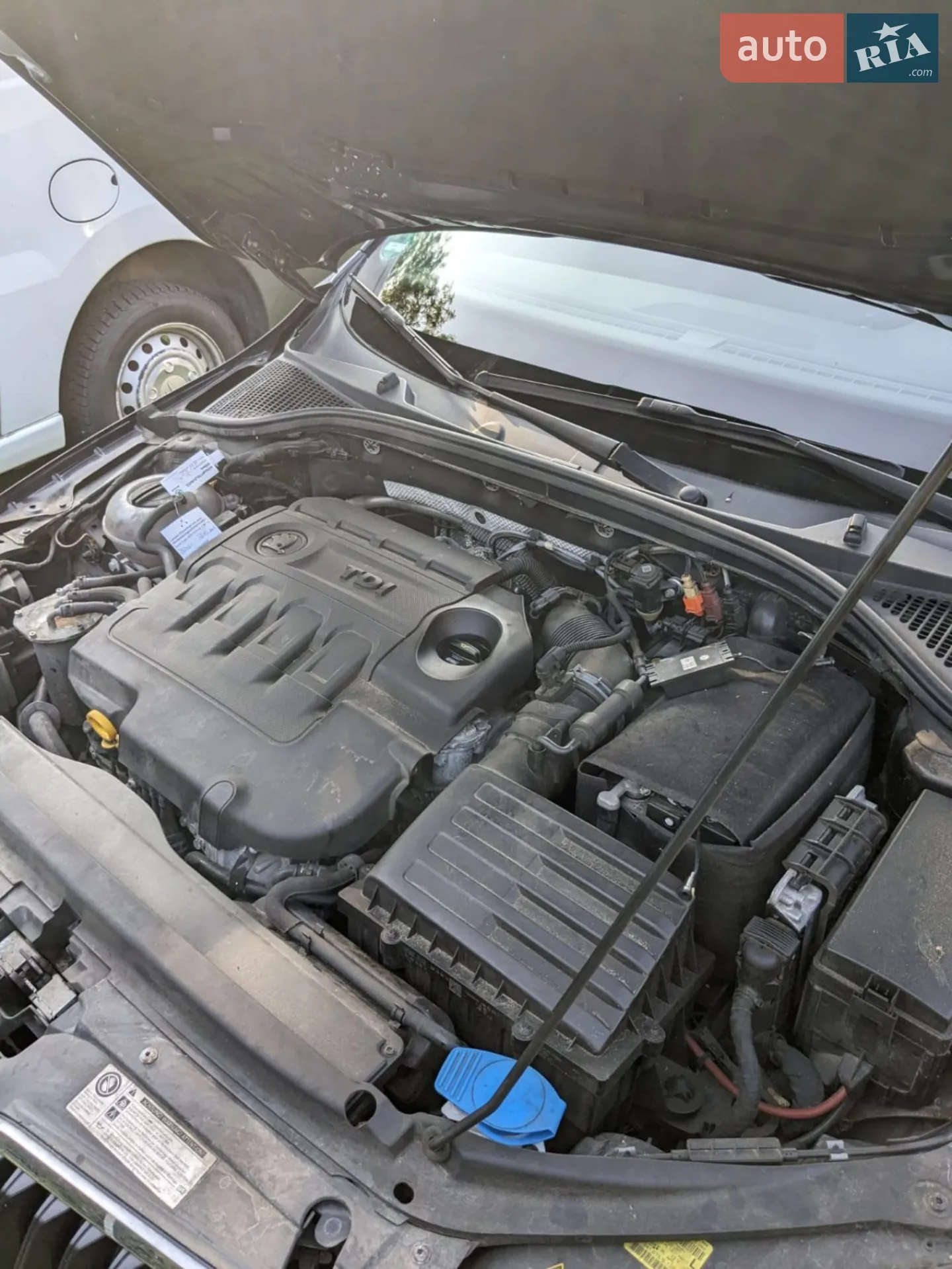 2015 Skoda Octavia - мініатюра 13