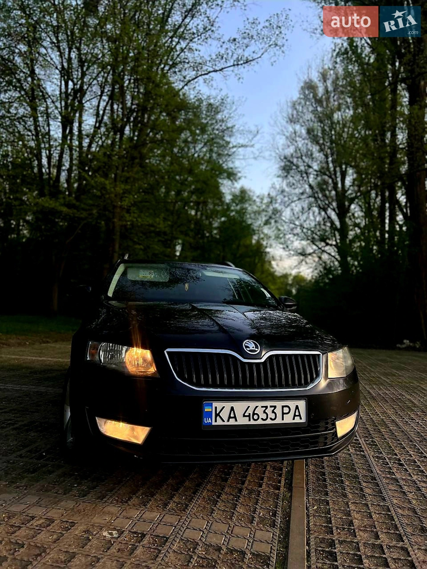 2015 Skoda Octavia - мініатюра 2