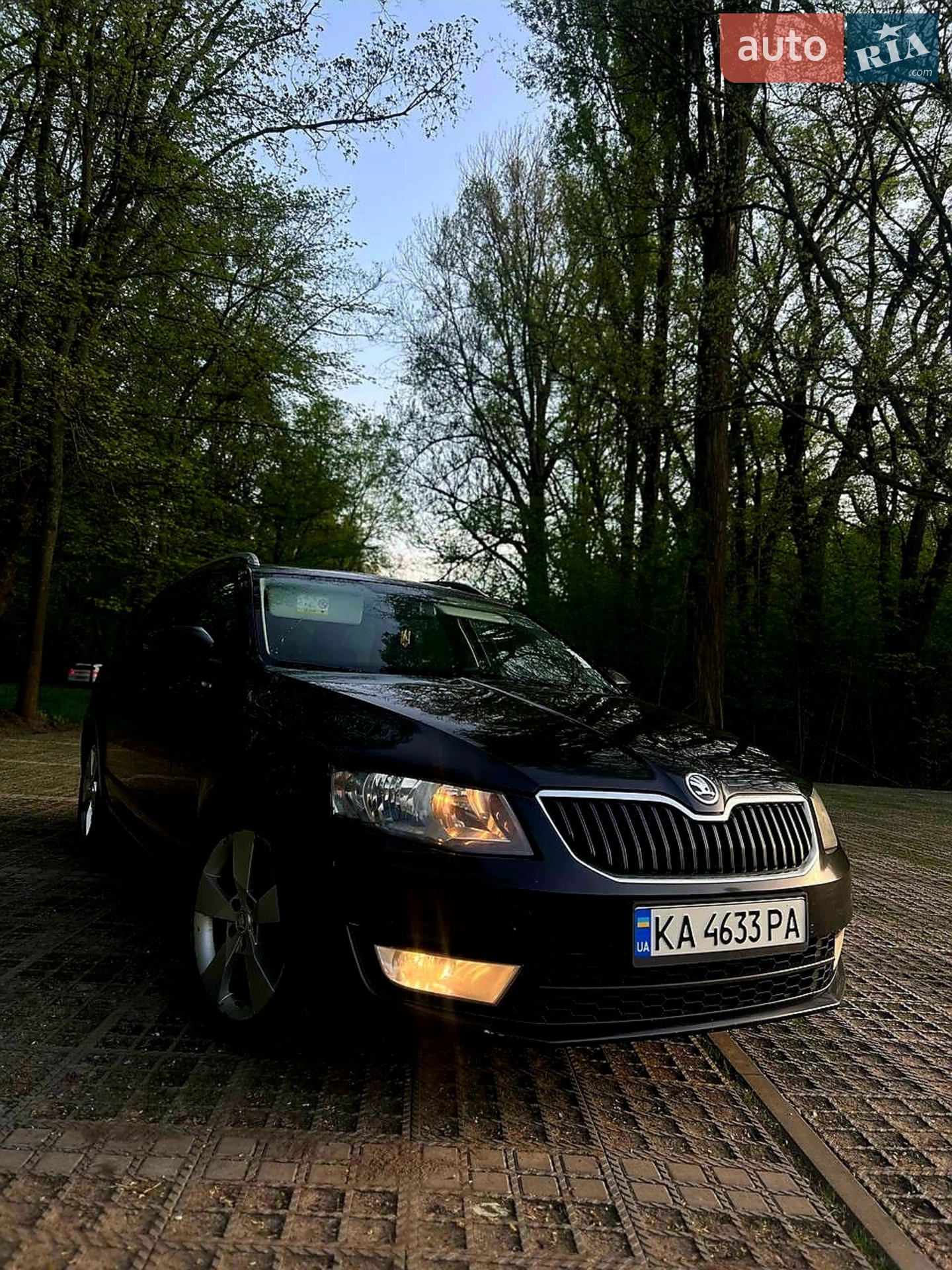 2015 Skoda Octavia - фото 1
