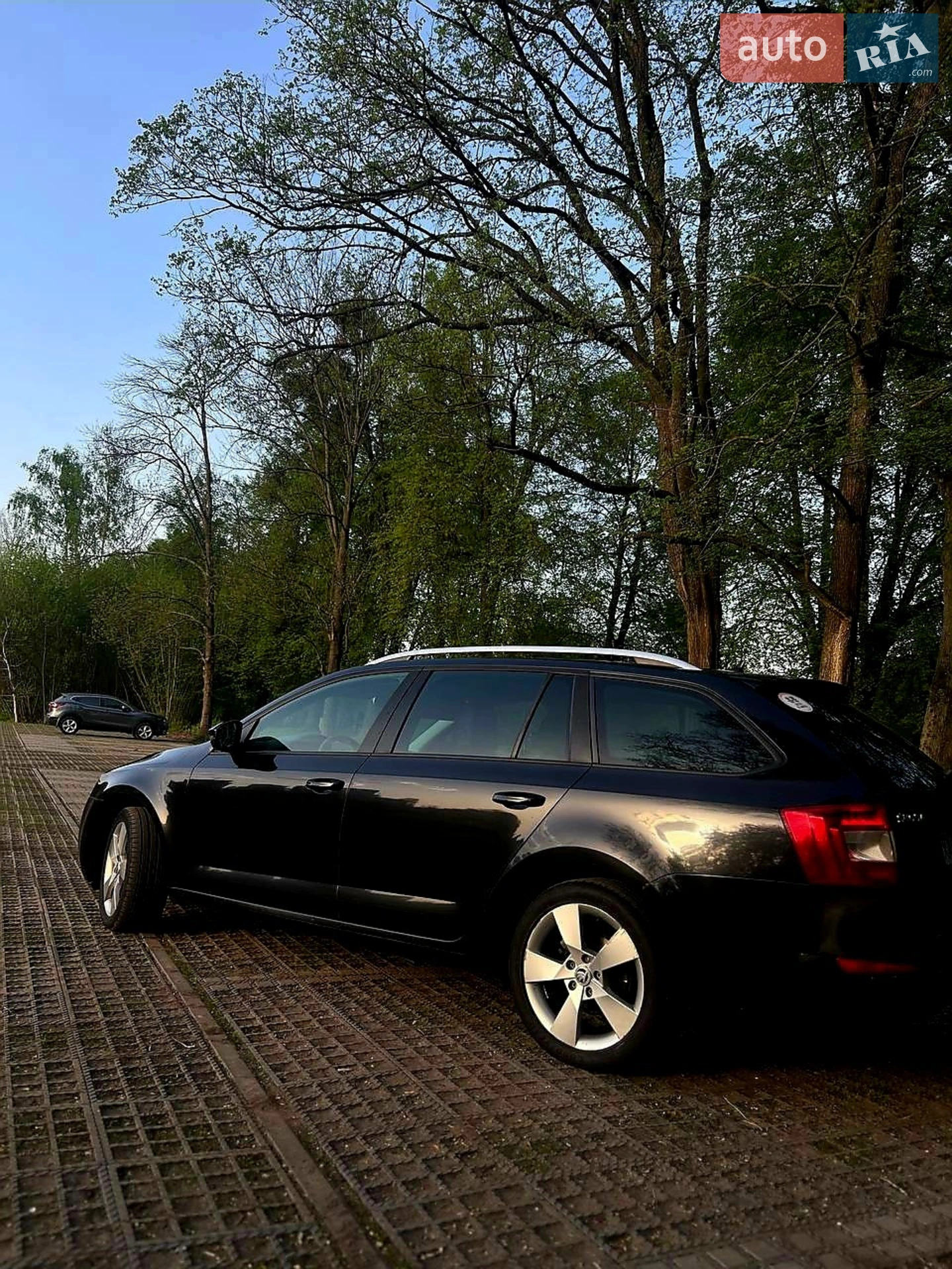 2015 Skoda Octavia - мініатюра 5