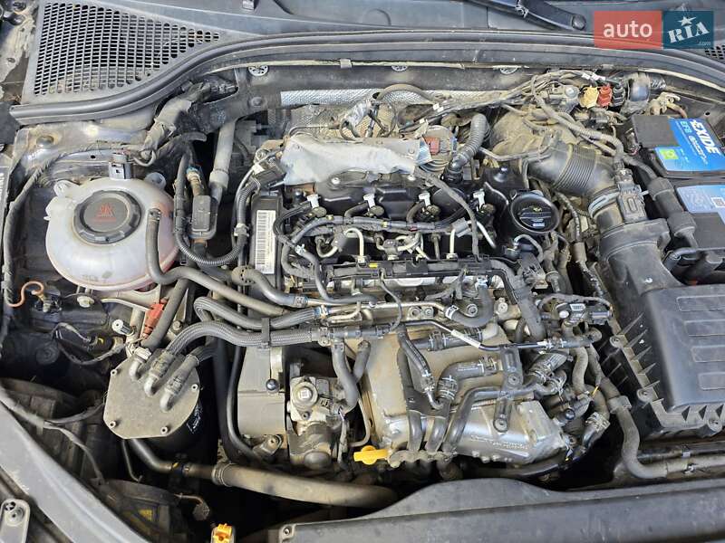 Ліфтбек Skoda Octavia 2019 в Ужгороді