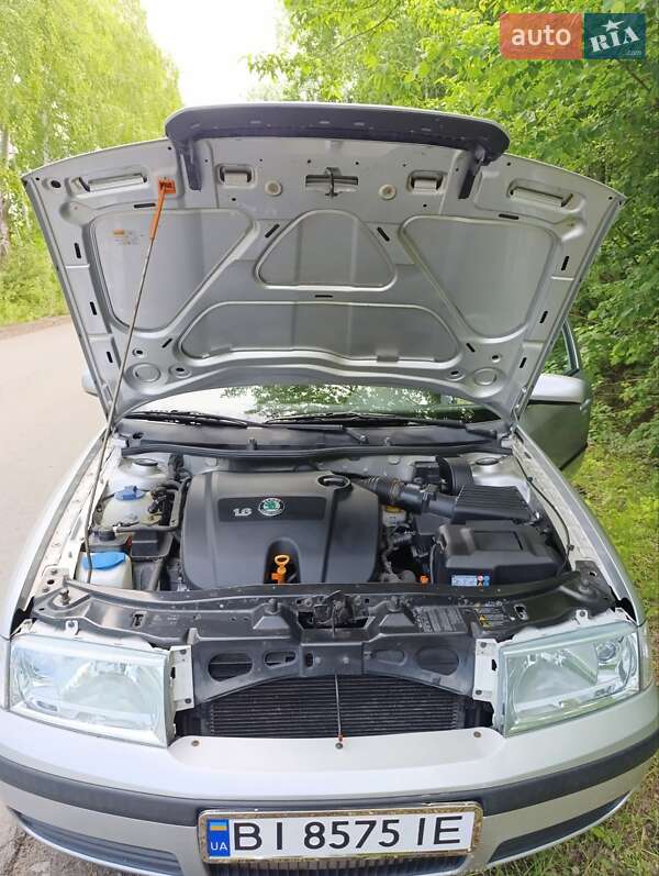 Ліфтбек Skoda Octavia 2004 в Гребінці