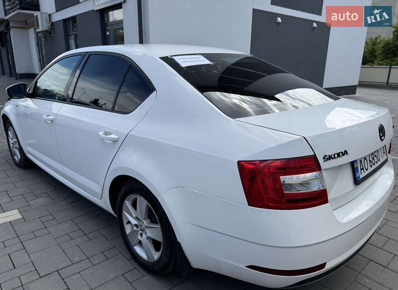 Ліфтбек Skoda Octavia 2017 в Сваляві