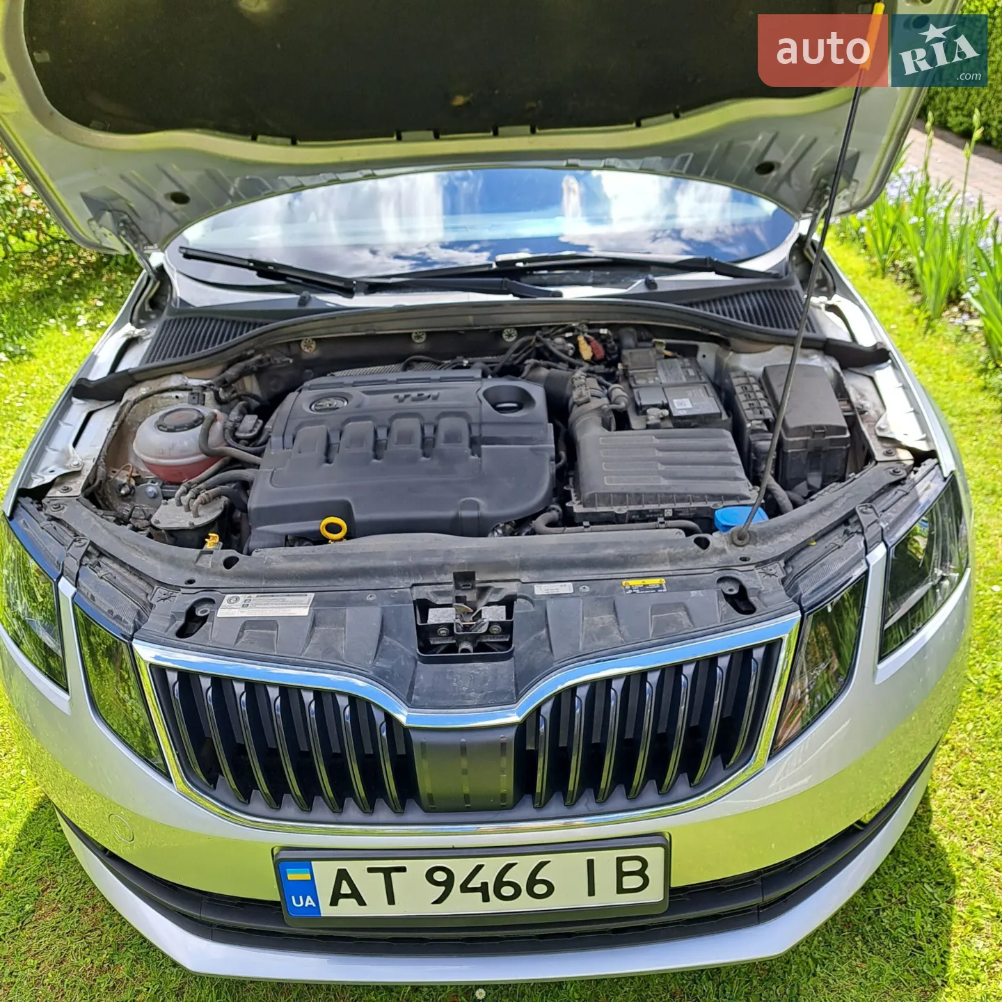2019 Skoda Octavia - мініатюра 9