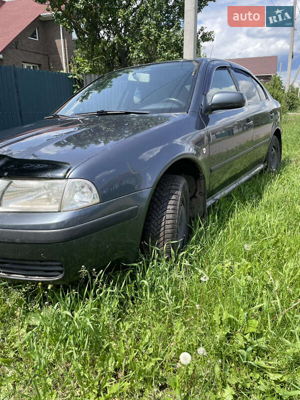 Лифтбек Skoda Octavia 2007 в Тростянце