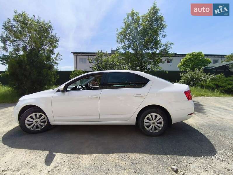 Лифтбек Skoda Octavia 2017 в Ужгороде