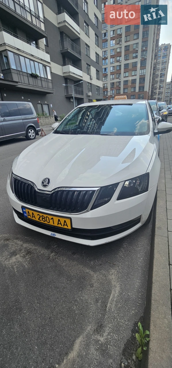 2018 Skoda Octavia - мініатюра 23