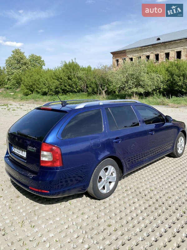 Універсал Skoda Octavia 2010 в Тульчині