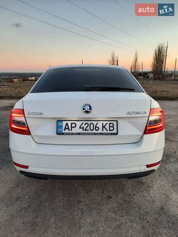 Лифтбек Skoda Octavia 2017 в Запорожье фото 12 Лифтбек Skoda Octavia 2017 в Запорожье