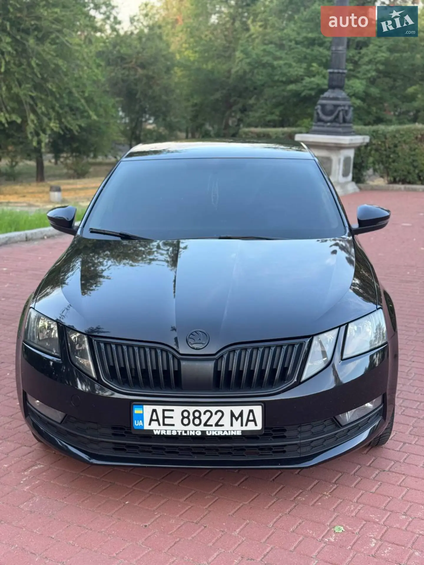 2019 Skoda Octavia - мініатюра 2