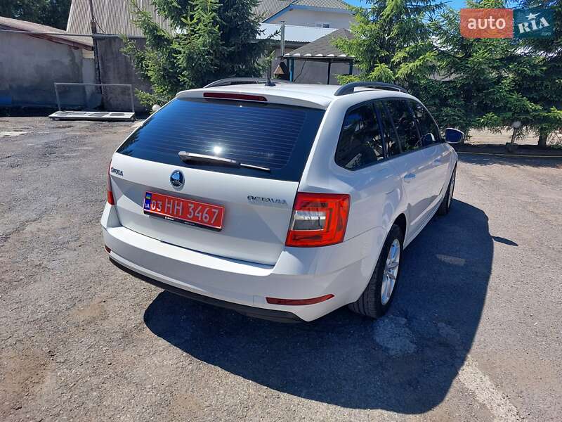 Универсал Skoda Octavia 2020 в Тернополе