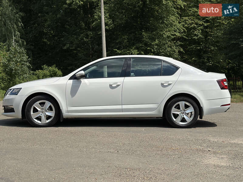 Ліфтбек Skoda Octavia 2019 в Коломиї