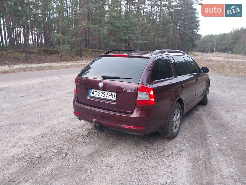 Универсал Skoda Octavia 2010 в Маневичах