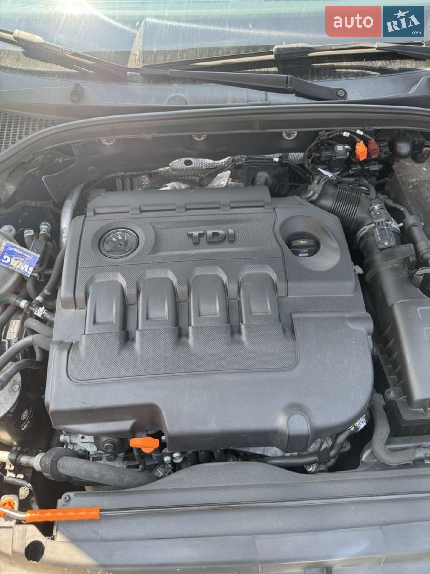 2013 Skoda Octavia - мініатюра 3