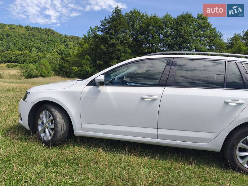 Универсал Skoda Octavia 2019 в Ужгороде