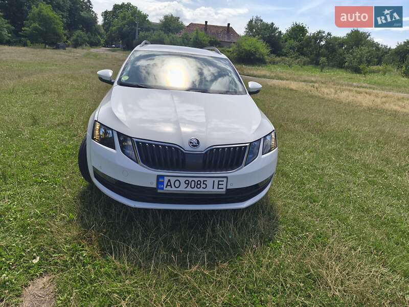 Универсал Skoda Octavia 2019 в Ужгороде