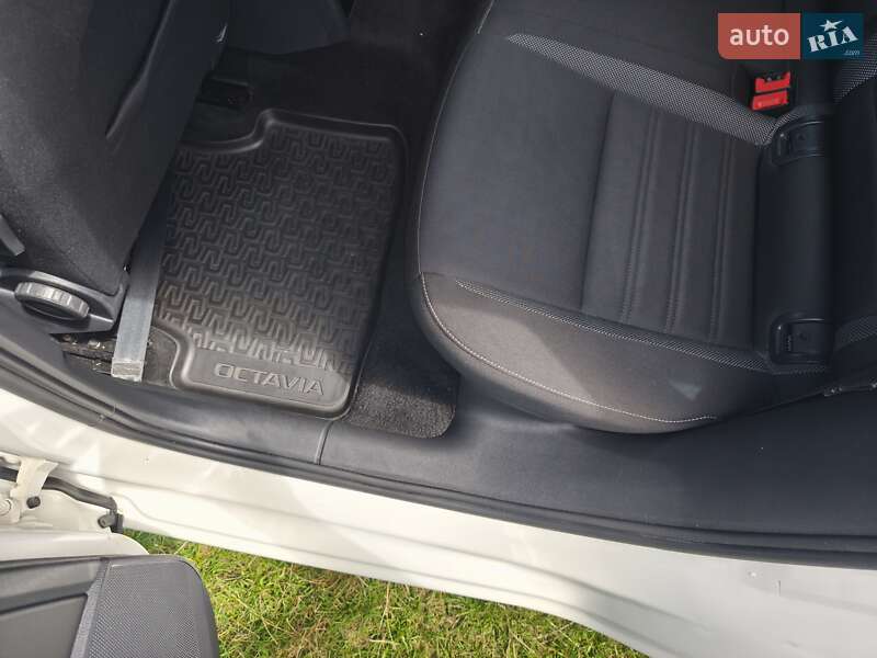 Универсал Skoda Octavia 2019 в Ужгороде
