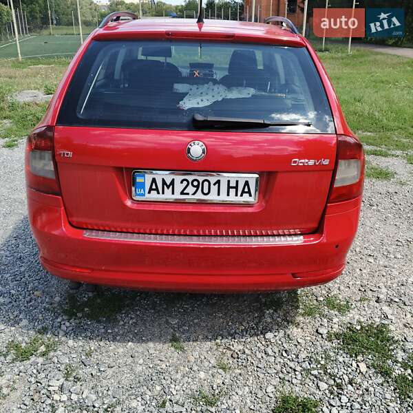 Универсал Skoda Octavia 2009 в Житомире