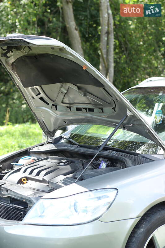 Лифтбек Skoda Octavia 2009 в Верховине