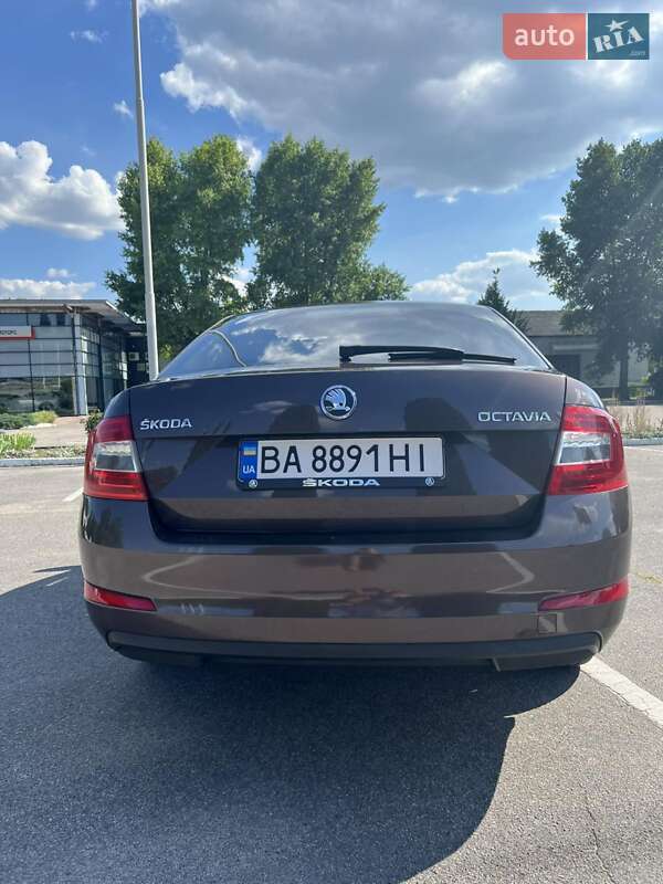 Лифтбек Skoda Octavia 2014 в Кропивницком