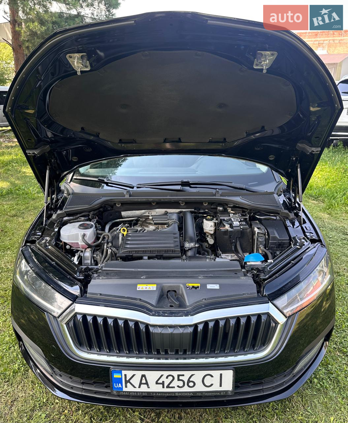 2021 Skoda Octavia - мініатюра 19