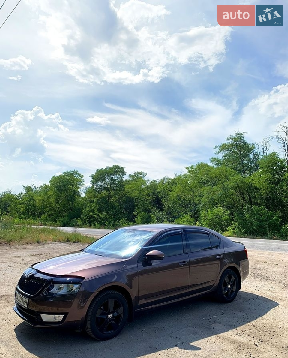 2016 Skoda Octavia - мініатюра 16
