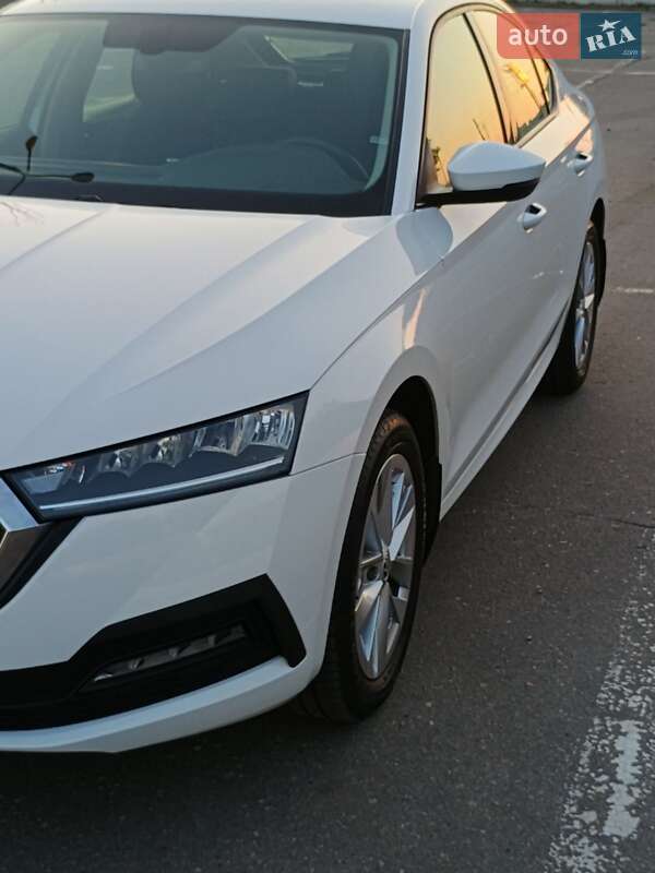 Лифтбек Skoda Octavia 2023 в Днепре