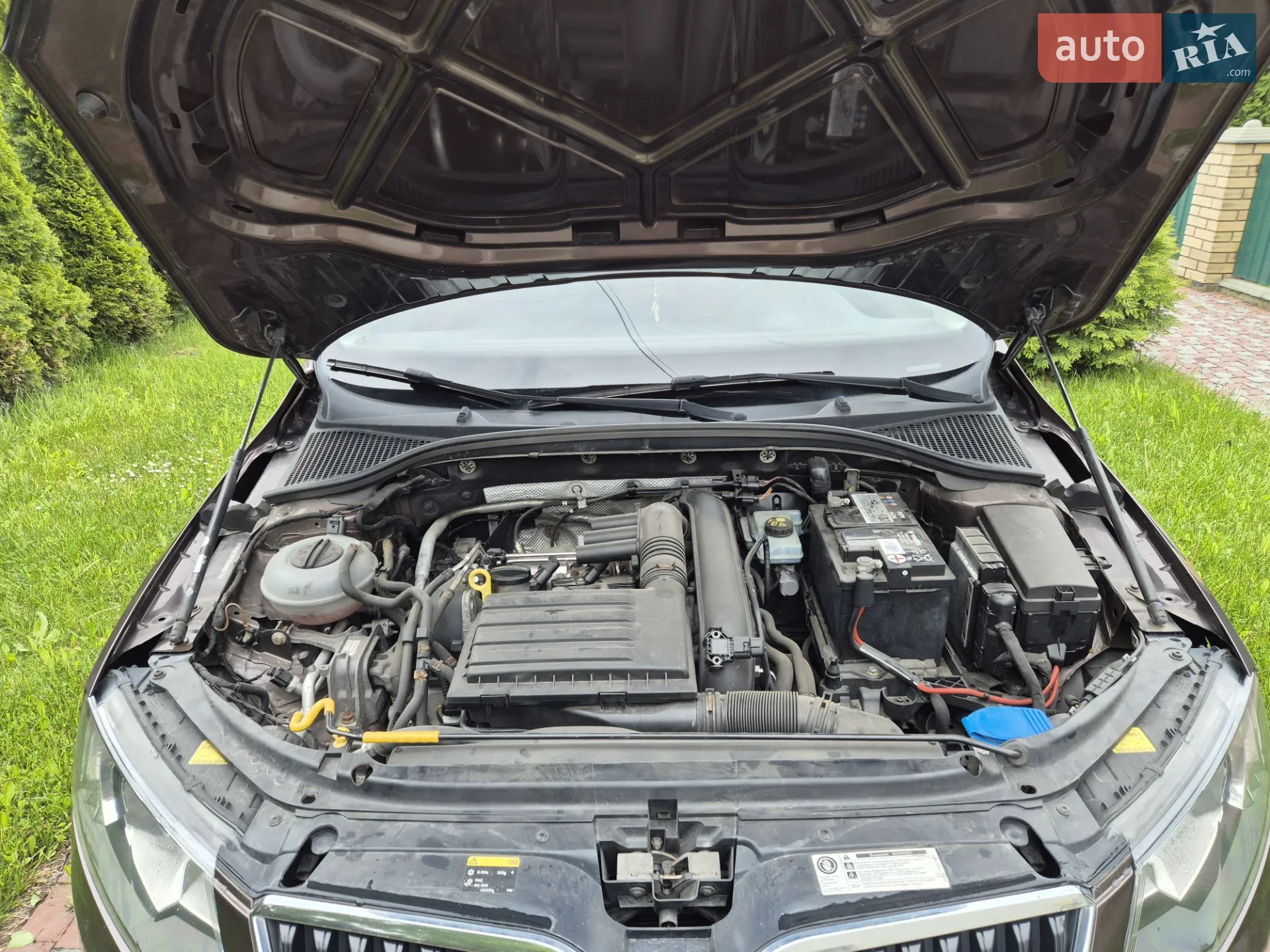 2014 Skoda Octavia - мініатюра 4