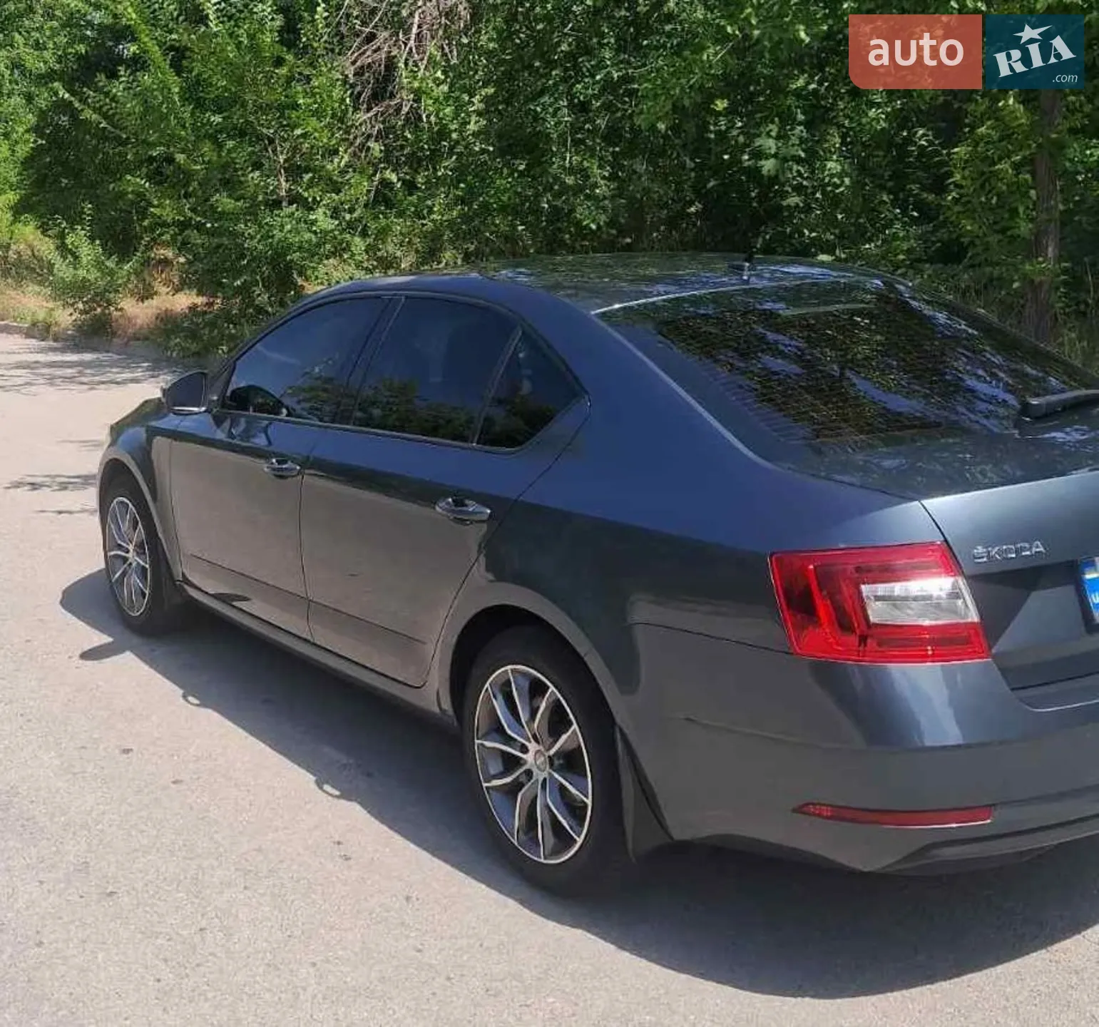 2020 Skoda Octavia - мініатюра 4