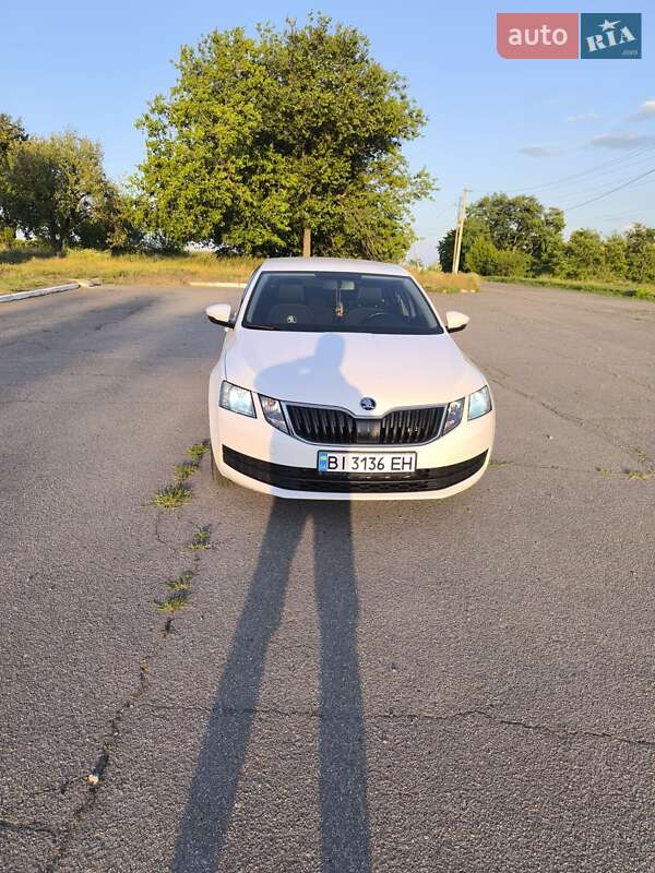 Skoda Octavia 2019 Skoda Octavia 2019