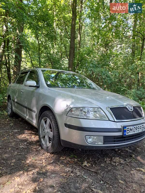 Универсал Skoda Octavia 2005 в Сумах
