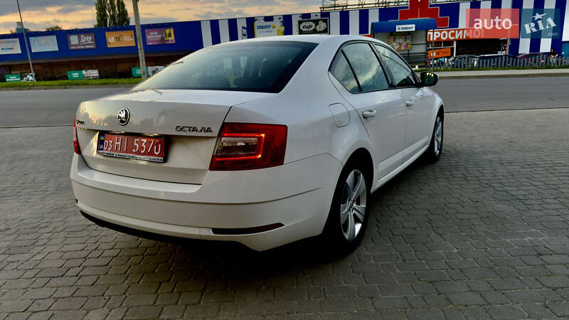 Лифтбек Skoda Octavia 2019 в Шепетовке