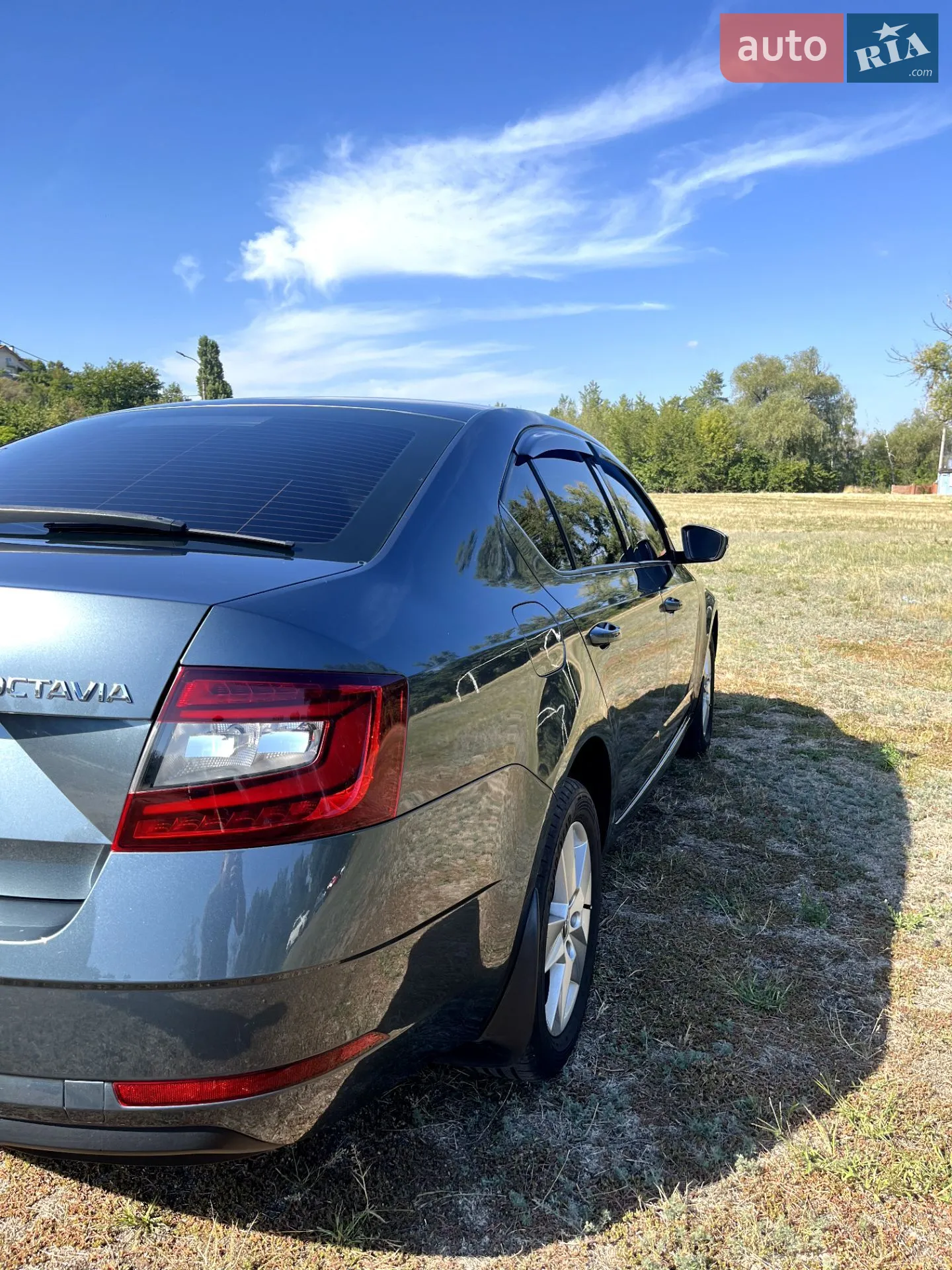 2019 Skoda Octavia - мініатюра 5