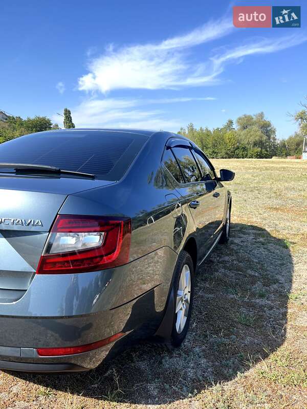 Лифтбек Skoda Octavia 2019 в Смеле фото 5 Лифтбек Skoda Octavia 2019 в Смеле
