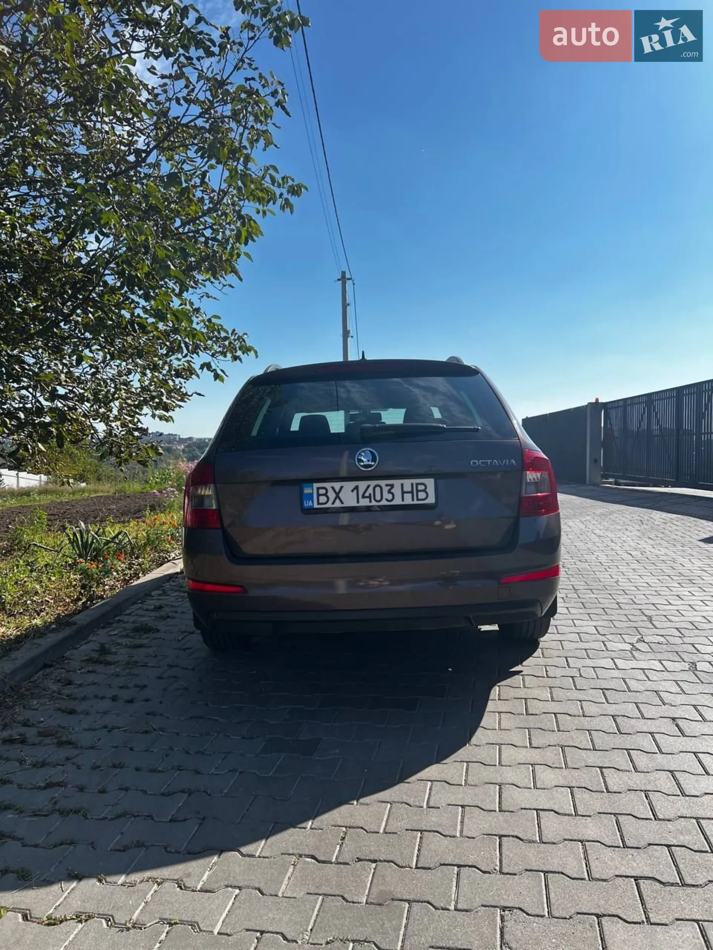 2015 Skoda Octavia - мініатюра 3